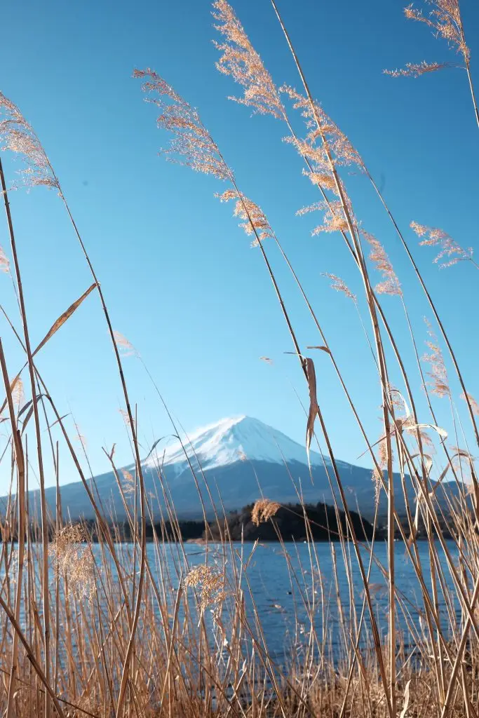 Mount Fuji Japan
