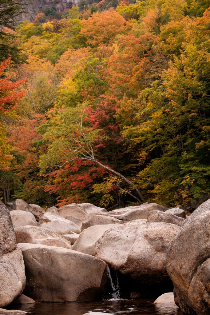 Fall foliage, Kancamagus Highway, New Hampshire, New England, USA