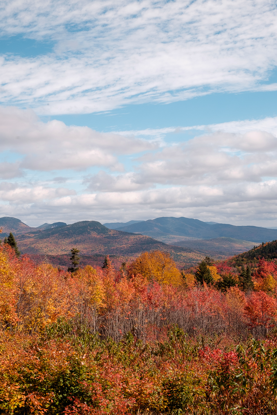 Fall foliage, Kancamagus Highway, New Hampshire, New England, USA
