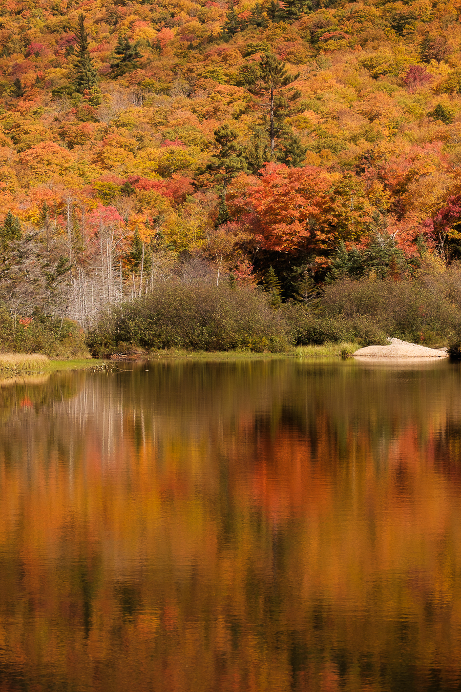 Fall foliage, Crawford Notch, New Hampshire, New England, USA