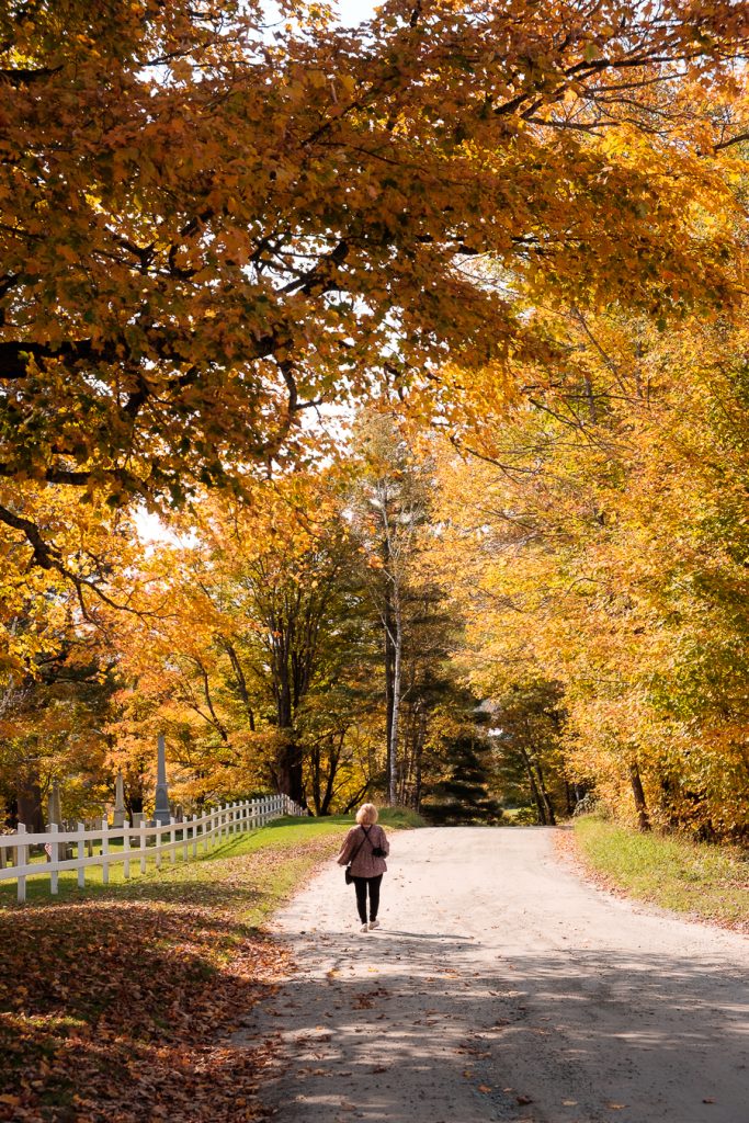 Fall foliage, Peacham, Vermont, New England, USA