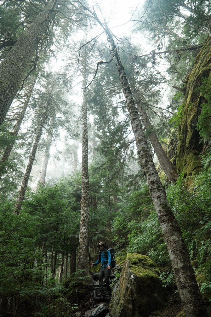 Strathcona Provincial Park, Landslide Lake Trail, Vancouver Island, BC, Canada