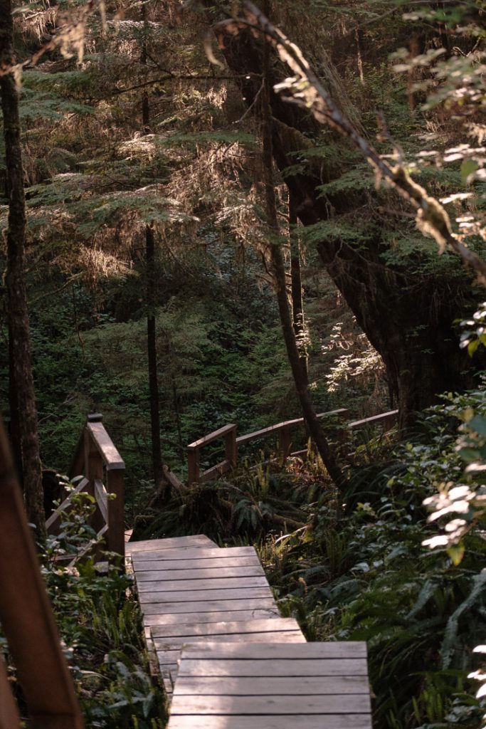 Pacific Rim National Park Reserve, Vancouver Island, British Columbia, Canada