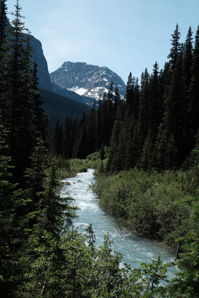 Rockwall Trail backpacking hike, Kootenay National Park, Canada
