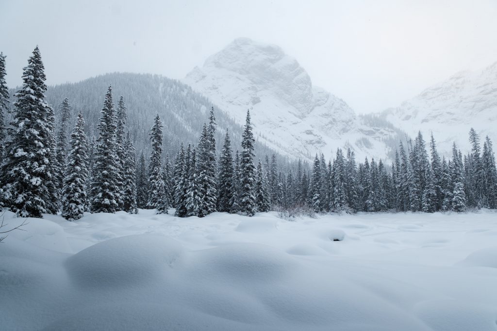 Winter hiking Kananaskis, Black Prince Trail