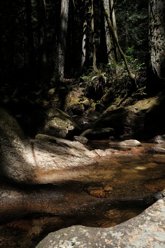 Cliff Gilker Park, Sunshine Coast, British Columbia, Canada