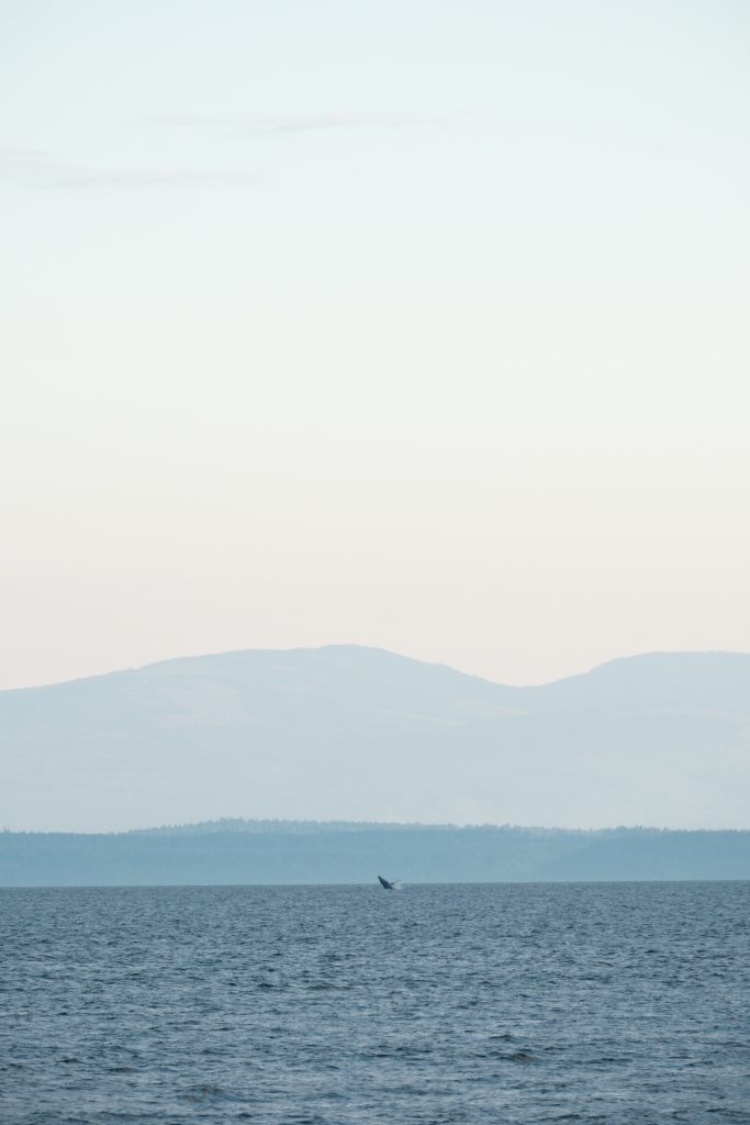 Roberts Creek, Sunshine Coast, British Columbia, Canada