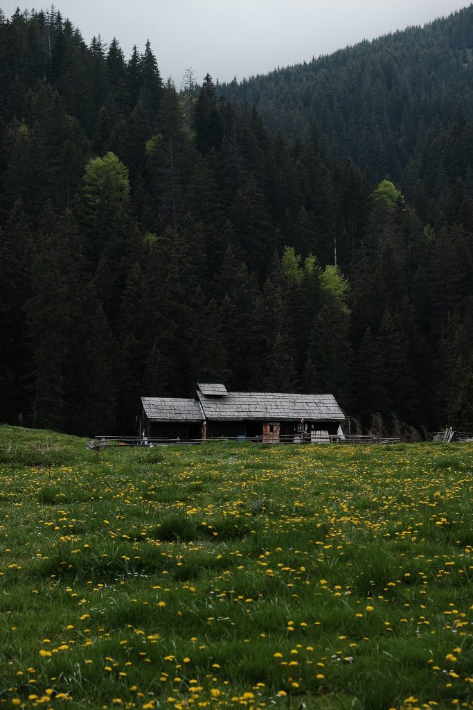 Piatra Craiului National Park, Transylvania, România