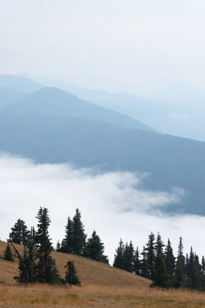 Hurricane Ridge, Olympic National Park, Washington itinerary